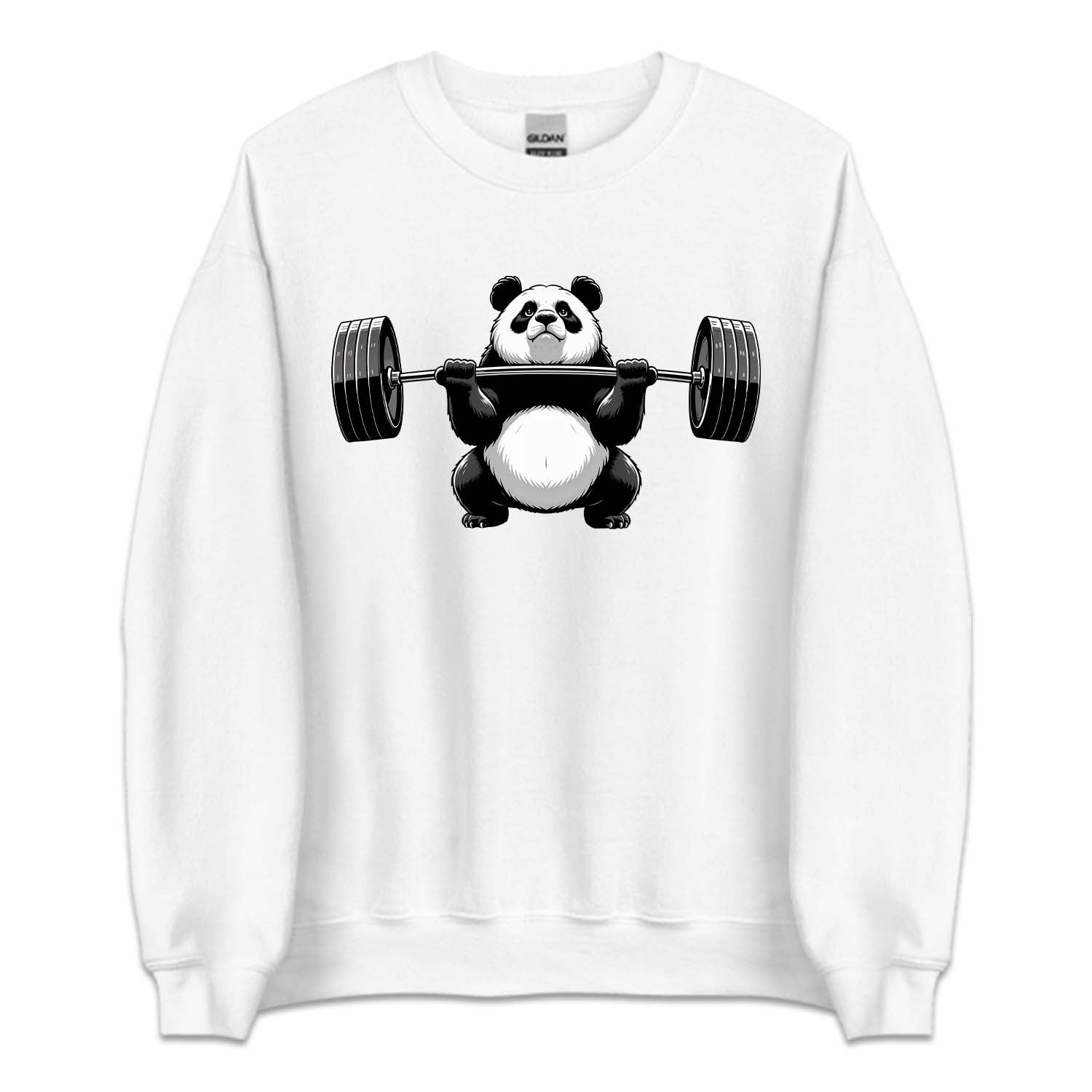 Panda Gym Fitness Panda Weightlifting